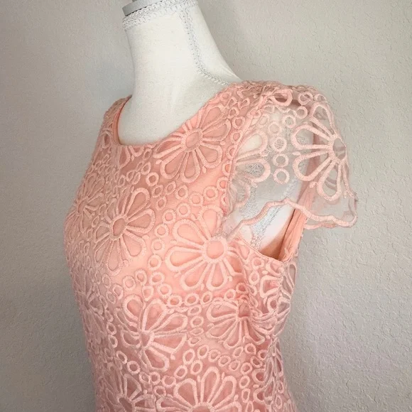 Beige by eci, Peachy/Pink Floral Lace Overlay Sheath Dress, Size 6 - Picture 4 of 10